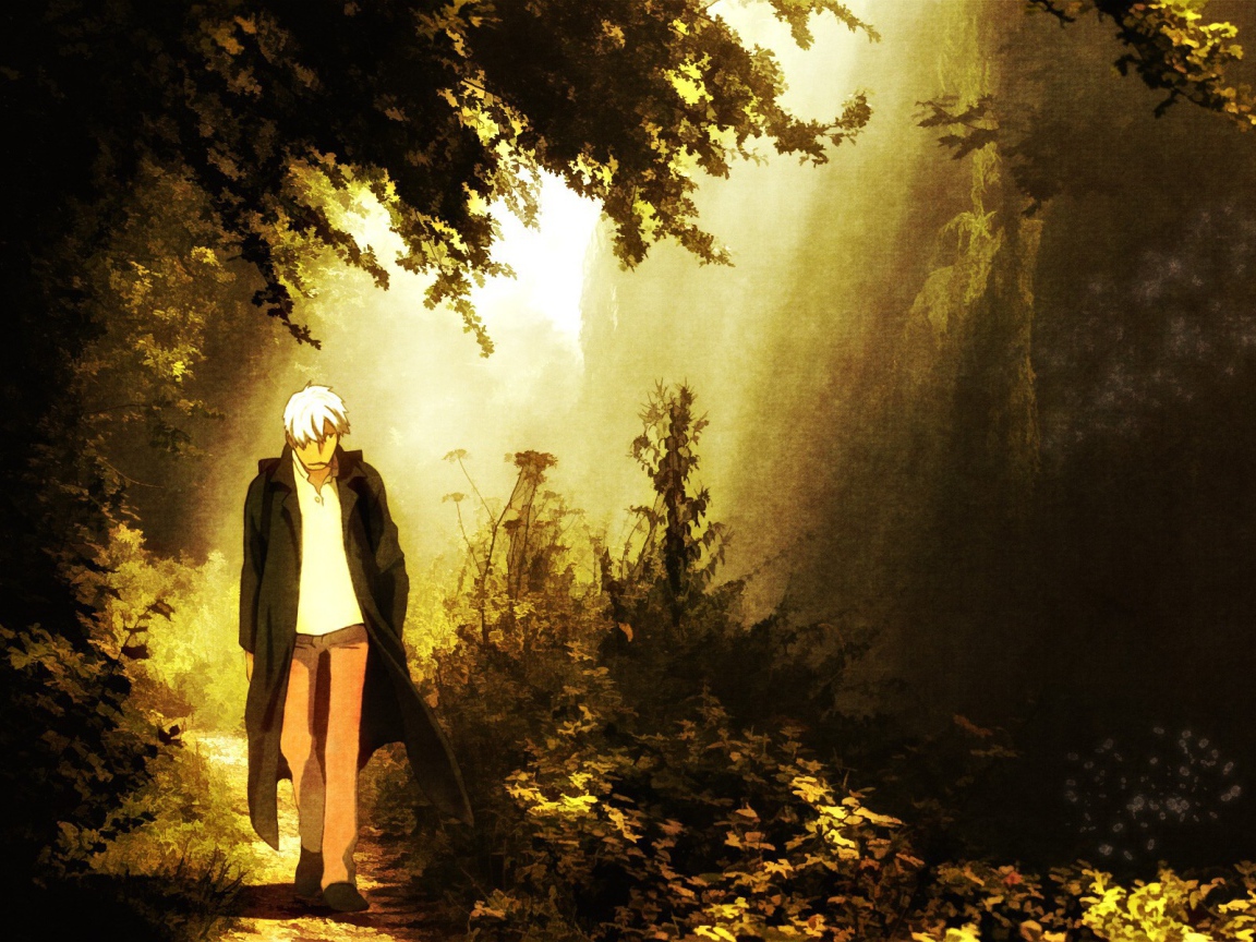 Парень идет по лесу, аниме Мастер Муси