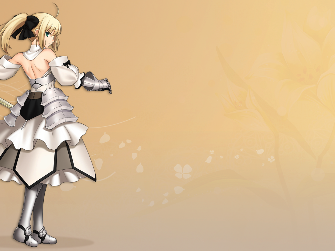 Сайбер Лили в доспехах, аниме Ночь прибытия