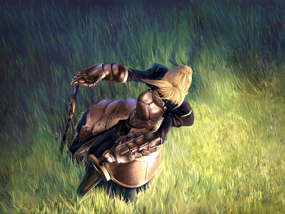 Тайп Мун в поле, аниме Ночь прибытия