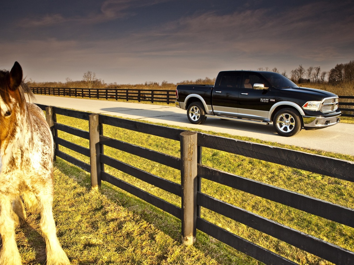 Черный пикап на ферме среди загонов