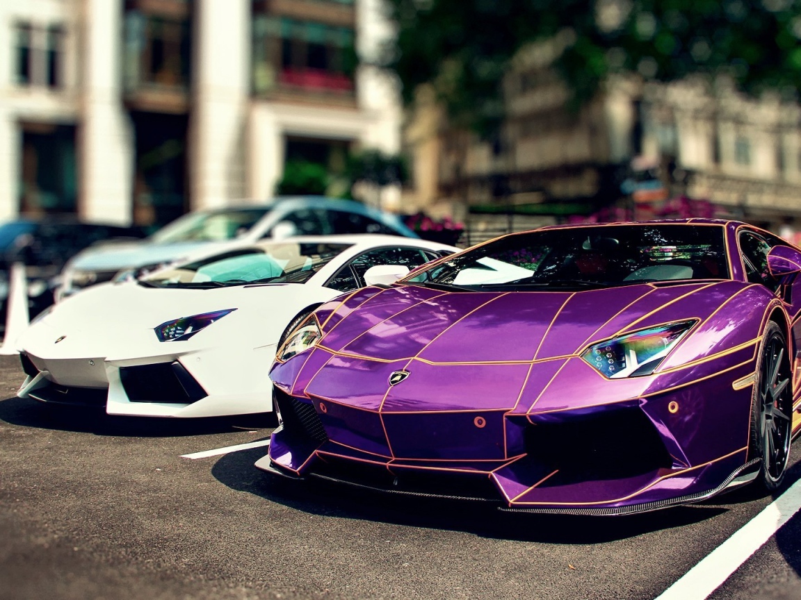 Сиреневый и белый Ламборгини