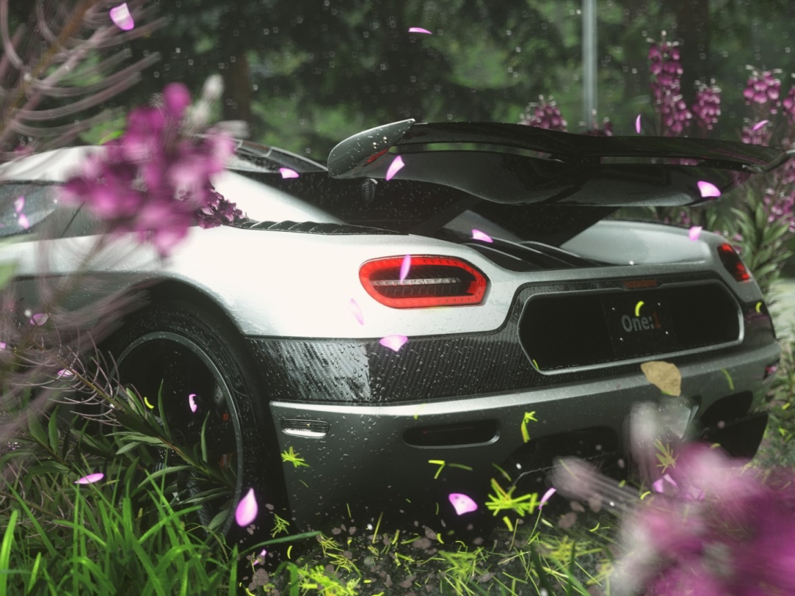 Вид сзади на спортивный автомобиль в цветах