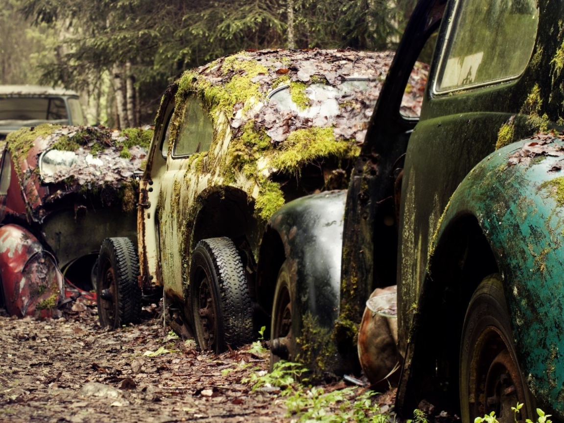 Остатки старых брошенных автомобилей