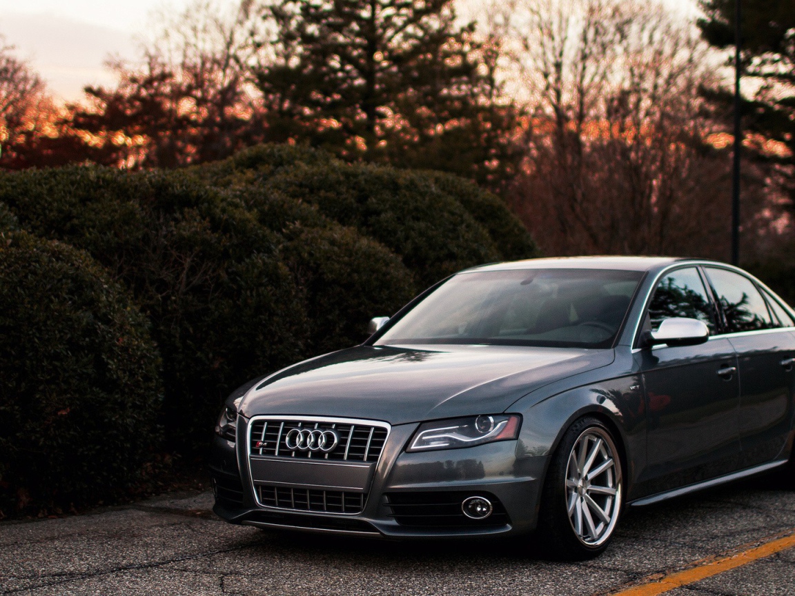 Темно серый Ауди у живой изгороди