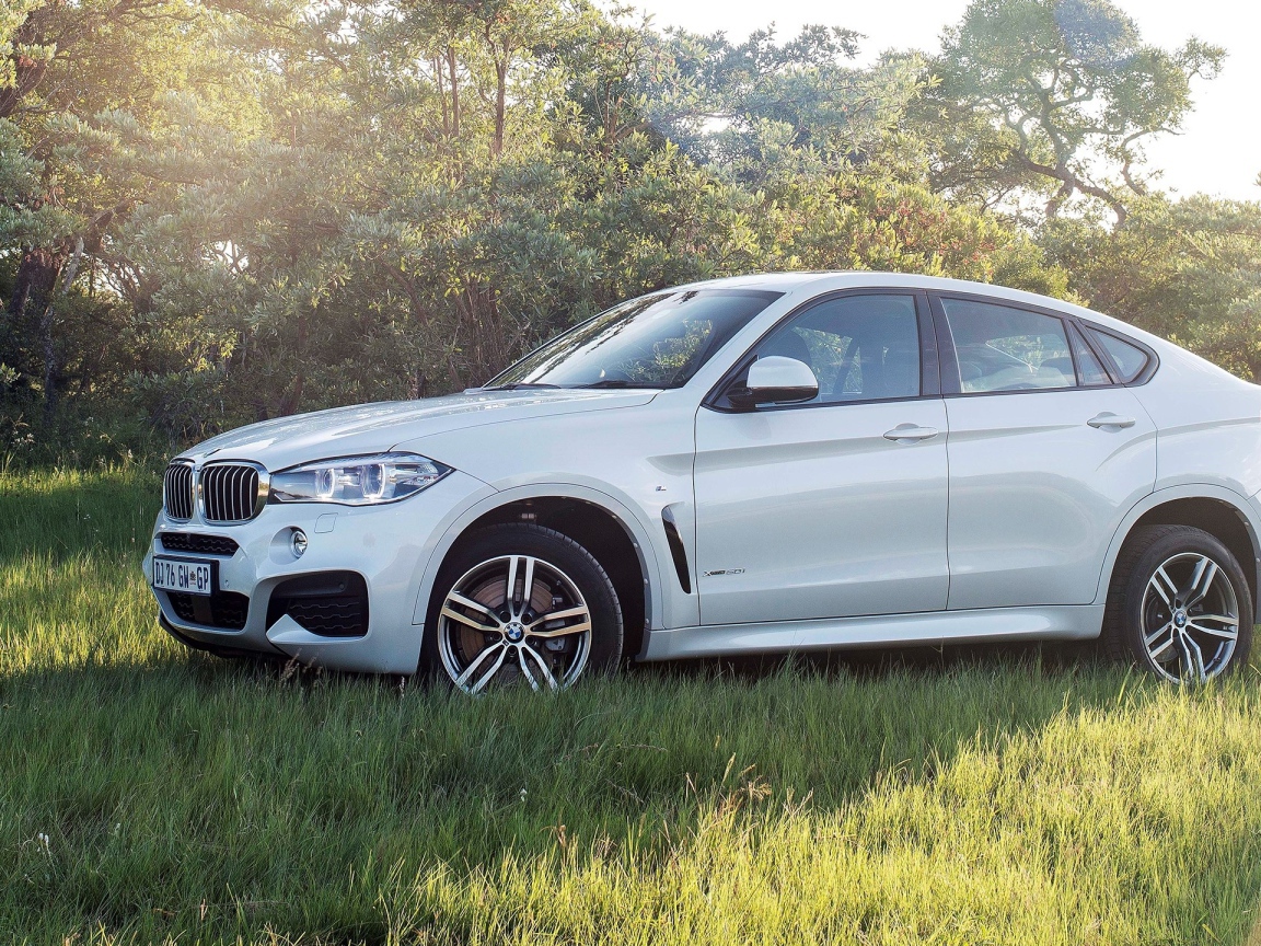 Полноприводный белый BMW на траве