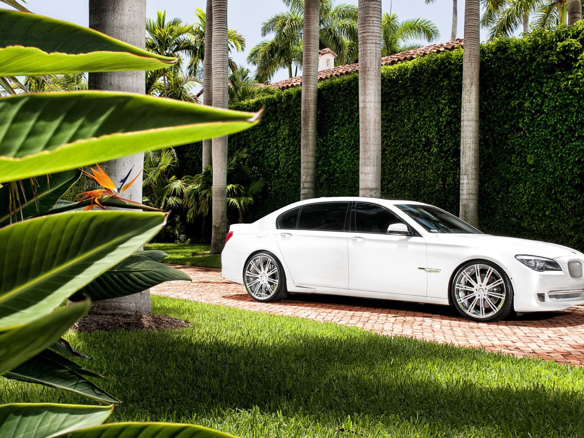 Белый БМВ во дворе богатого дома