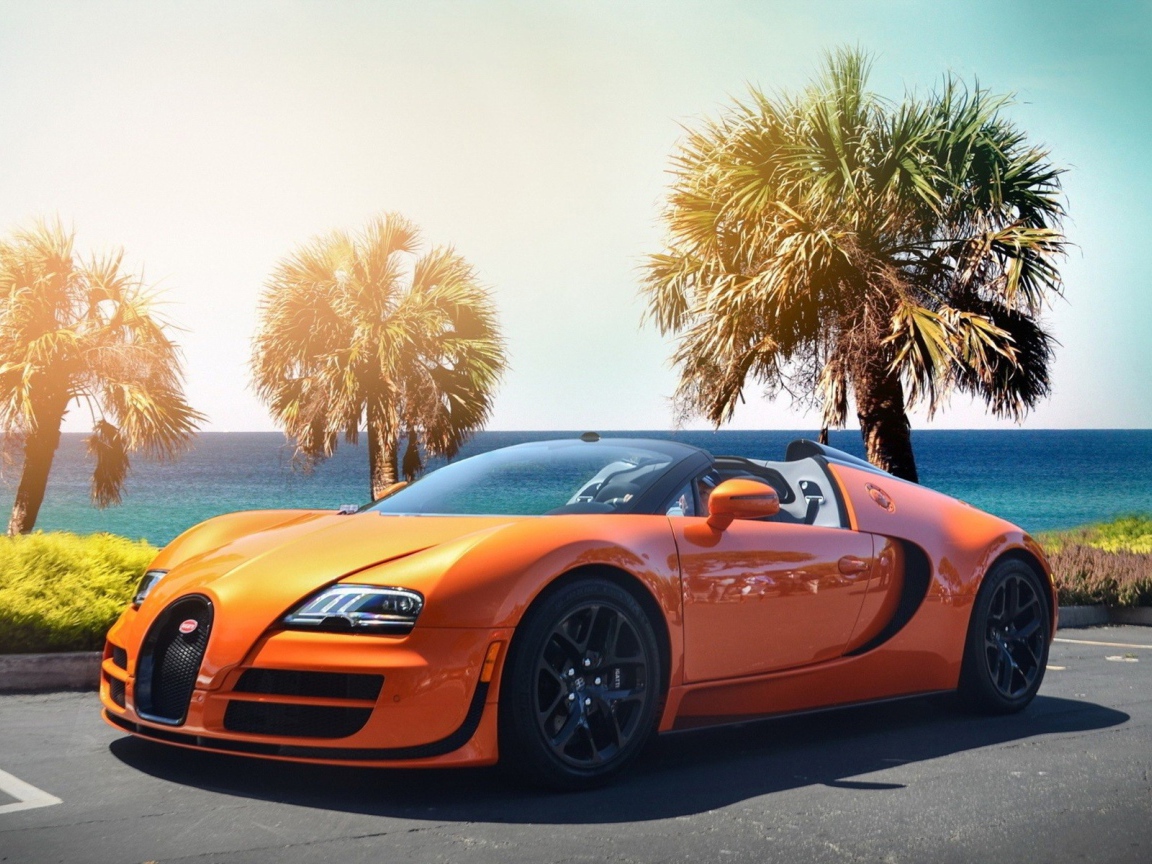 Оранжевый Bugatti Veyron на фоне пальм у моря