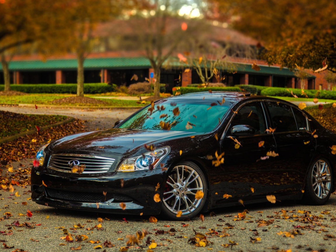 Автомобиль Infiniti в осеннем парке