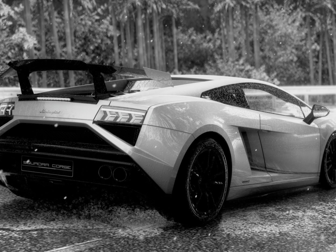Черно белое фото Ламборгини под дождем