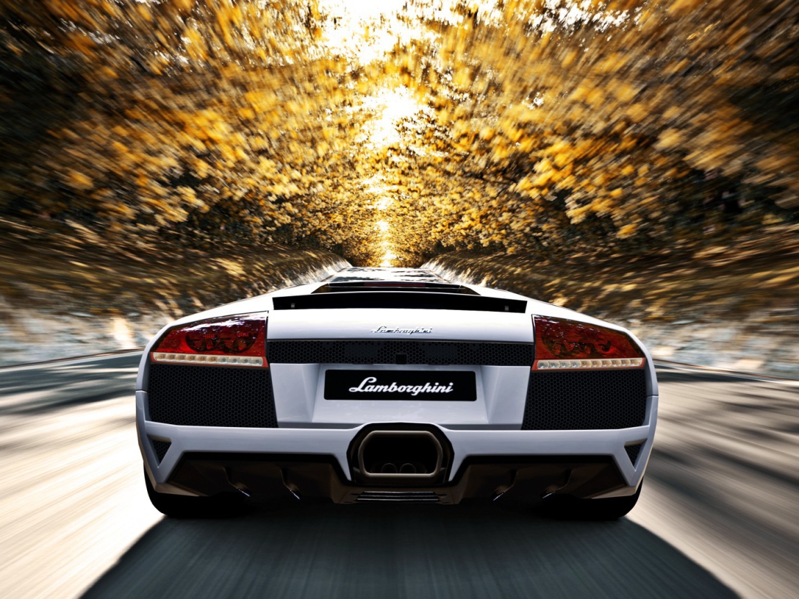 Белый Ламборгини мчится по аллее