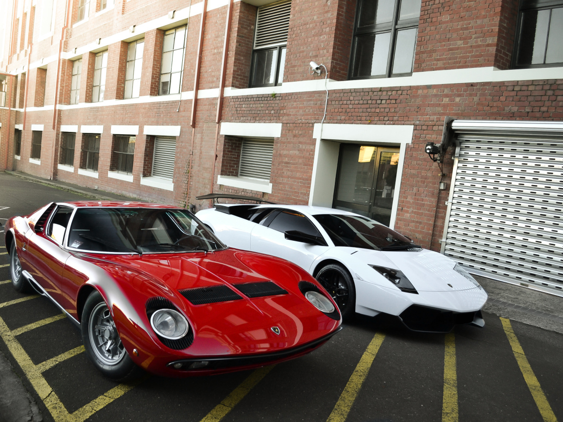 Белый и красный ламборджини