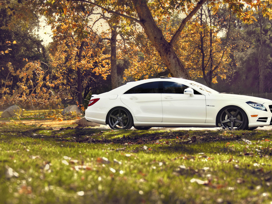 Белый мерседес на природе