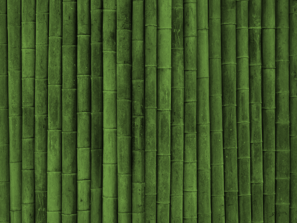 Фон зеленый бамбук