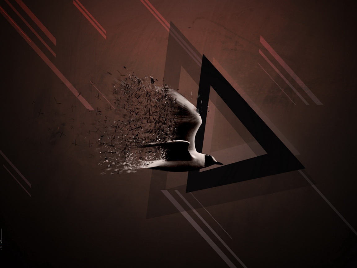 Птица и треугольник, коричневый фон