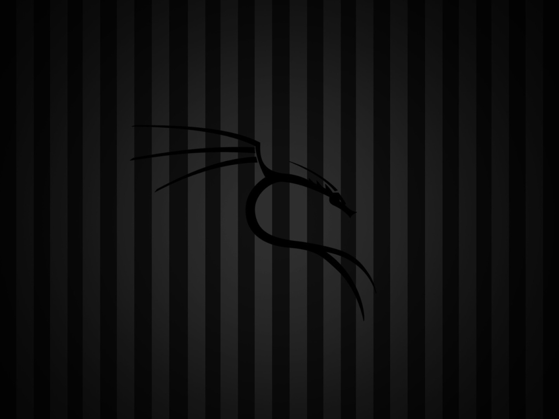 Черный фон Kali Linux