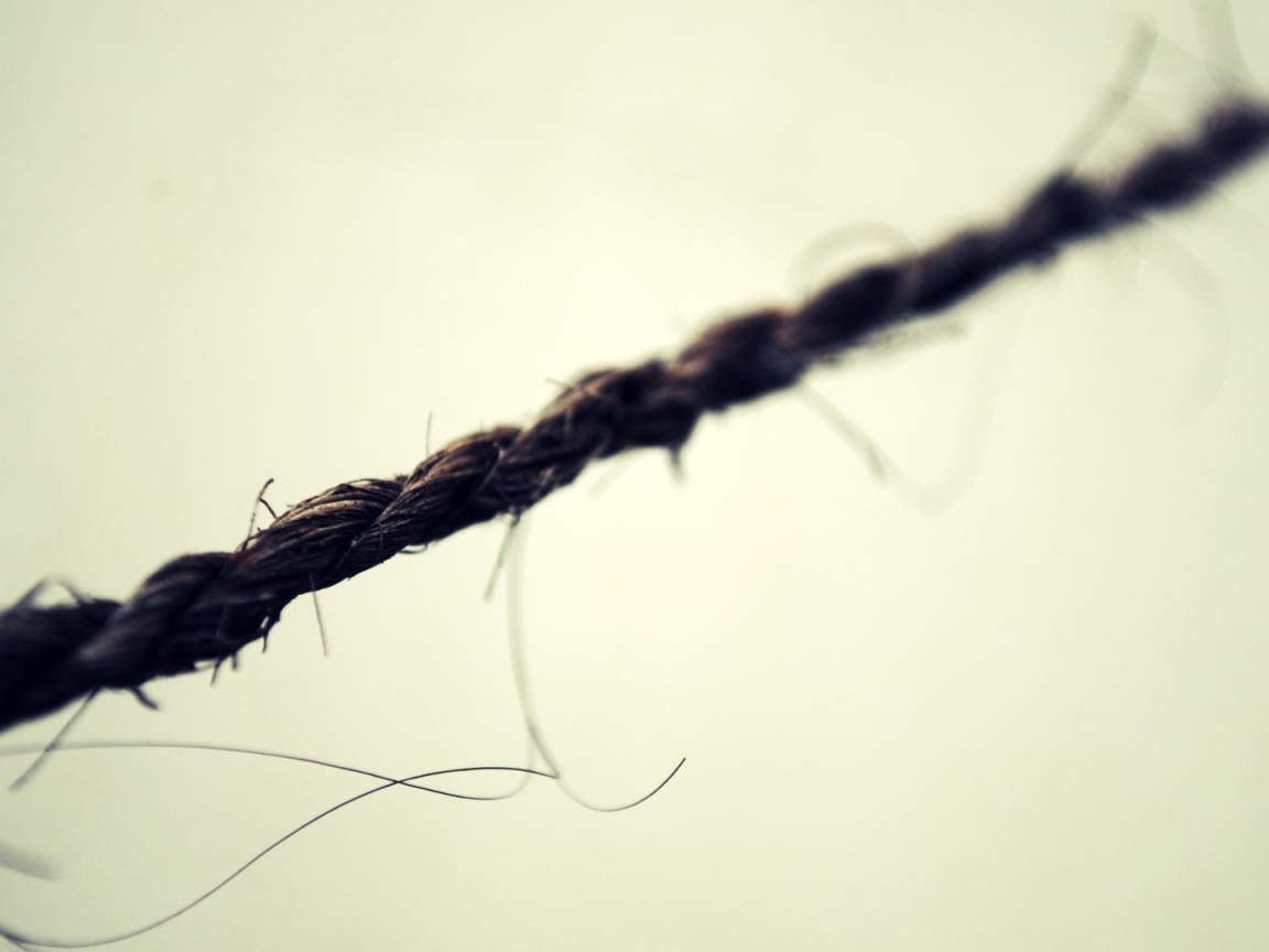 Черная веревка на белом фоне