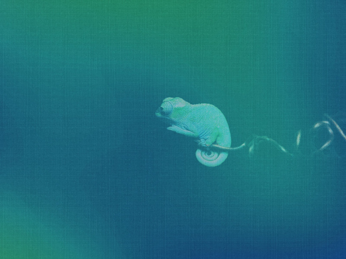 Хамелеон, синий фон Убунту