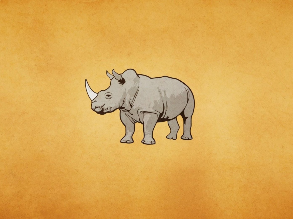 Серый носорог, оранжевый фон