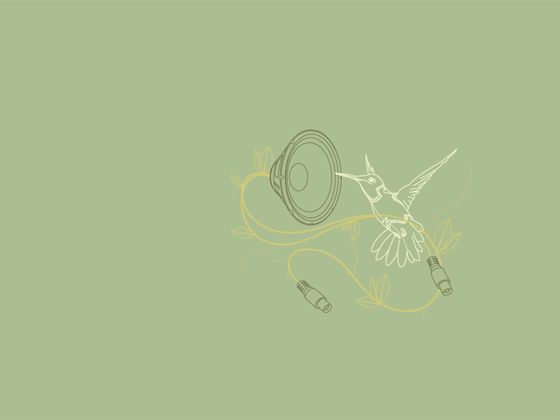 Колибри поет, серый фон