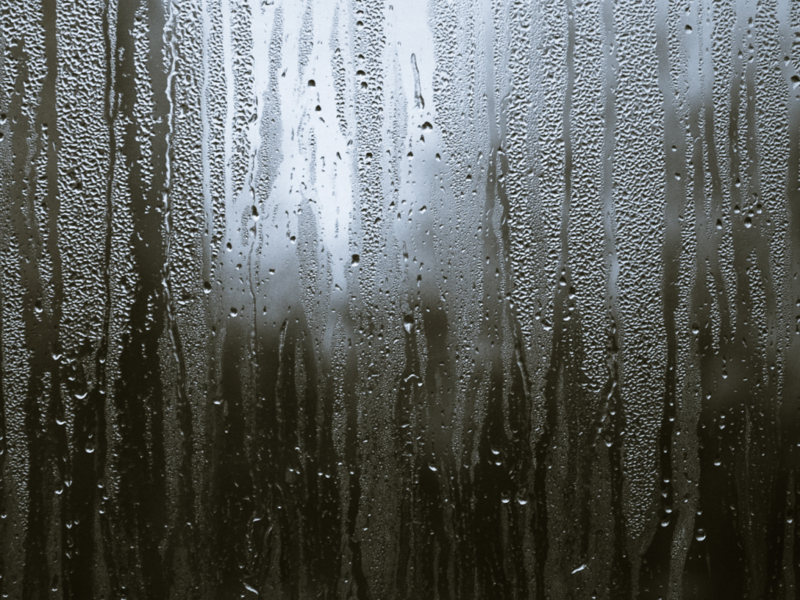 Свет за мокрым стеклом