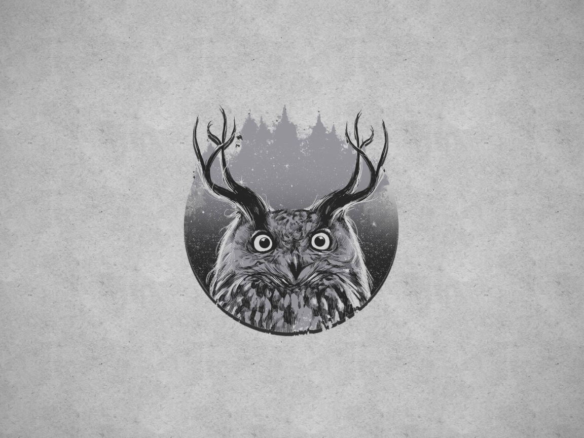 Сова с рогами, серый фон