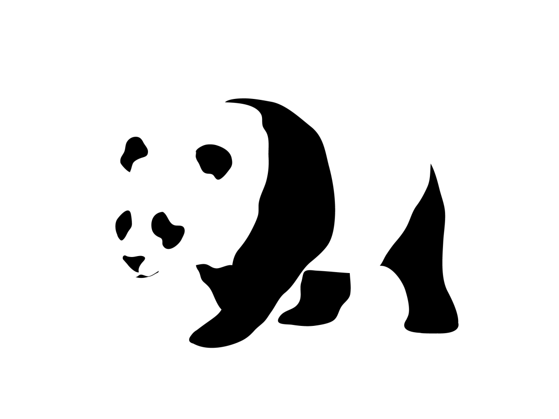 Панда, черно белый фон