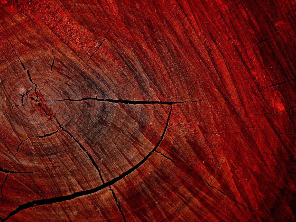 Красный спил дерева