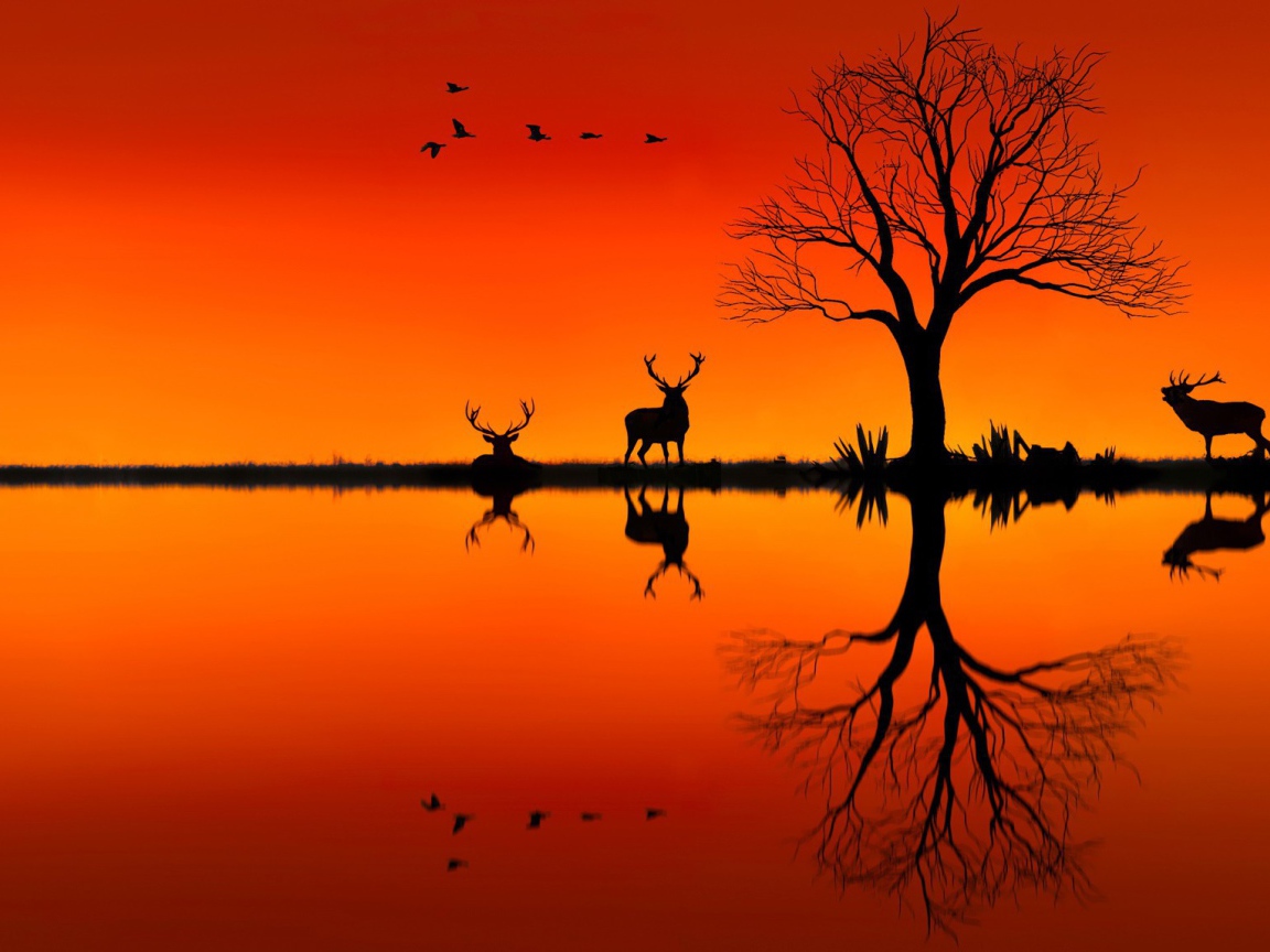 Силуэты оленей на оранжевом фоне