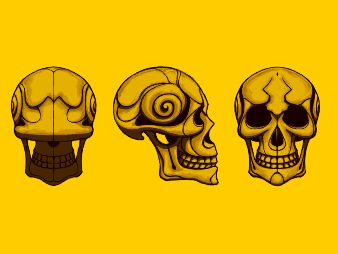 Черепа на желтом фоне