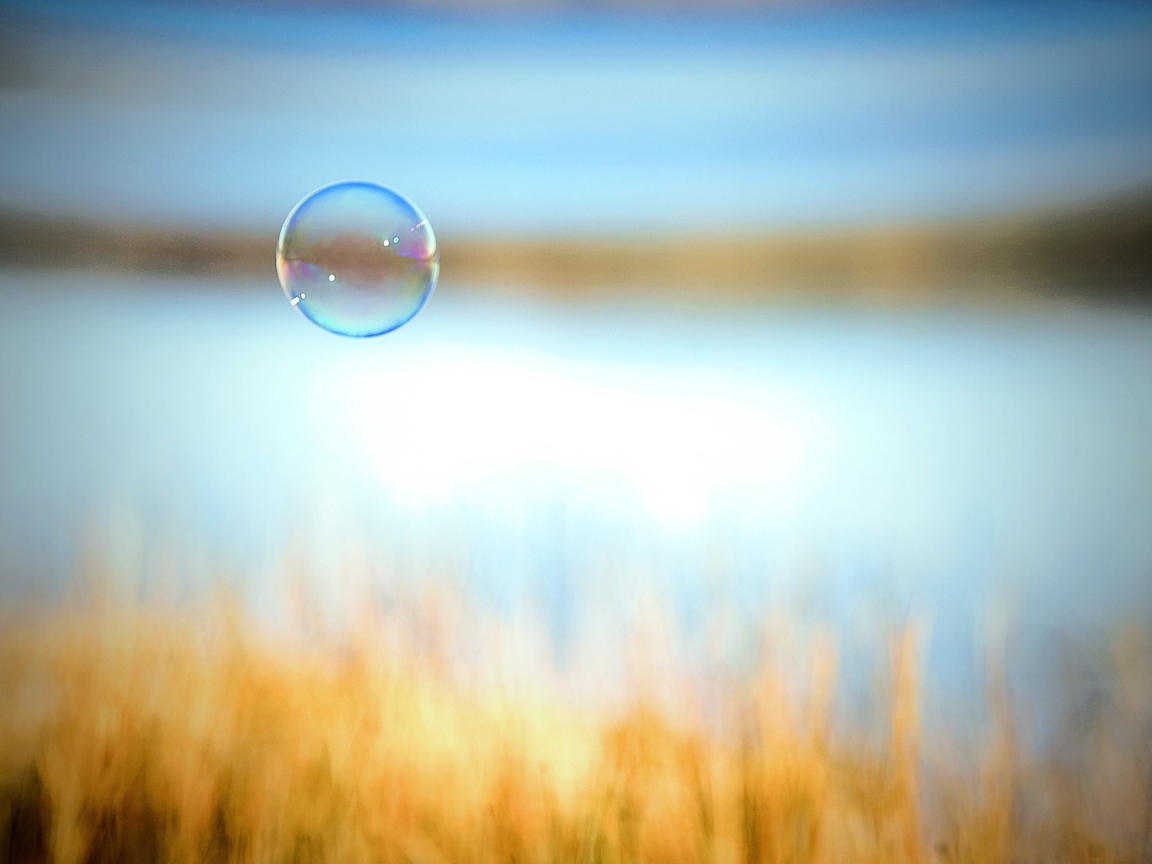 Мыльный пузырь на фоне поля