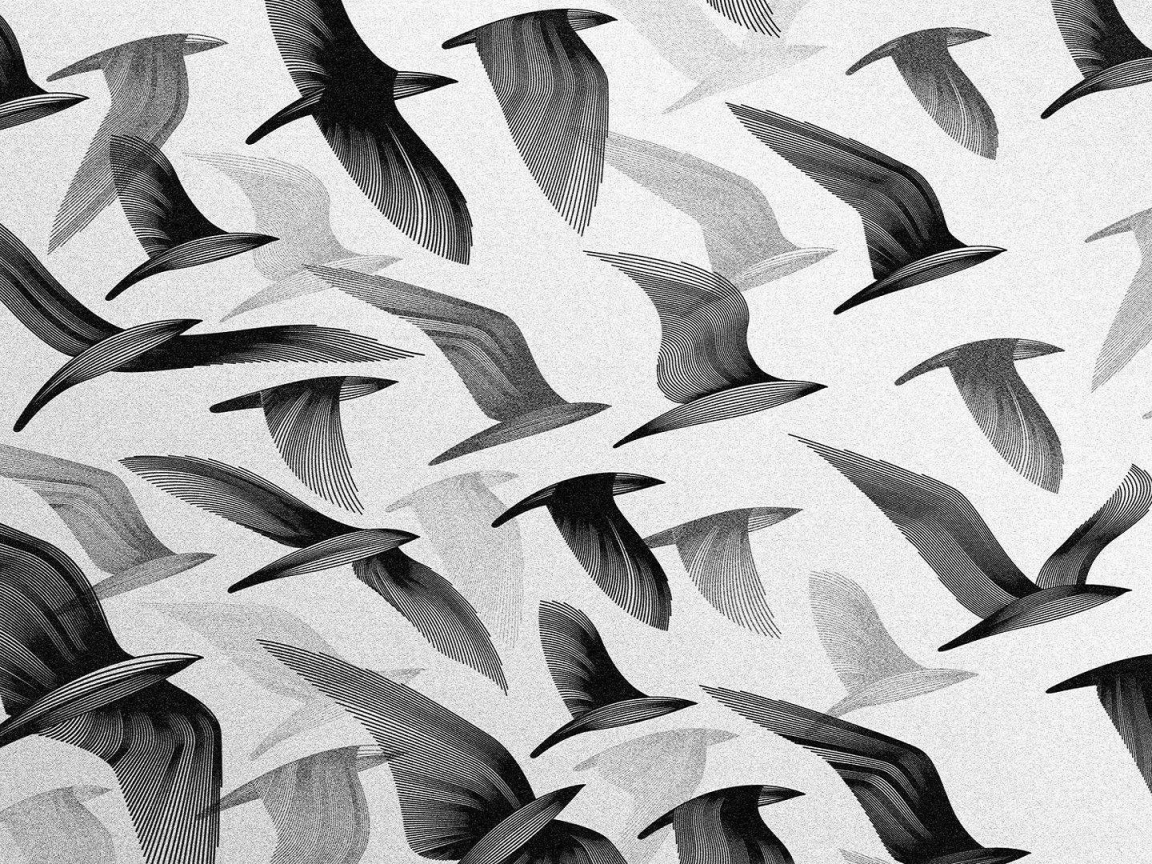 Черные птицы, серый фон