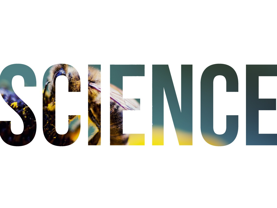 Надпись Наука на фоне пчелы