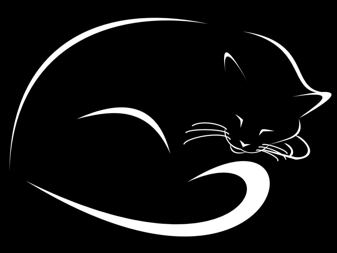 Белые контуры черного кота