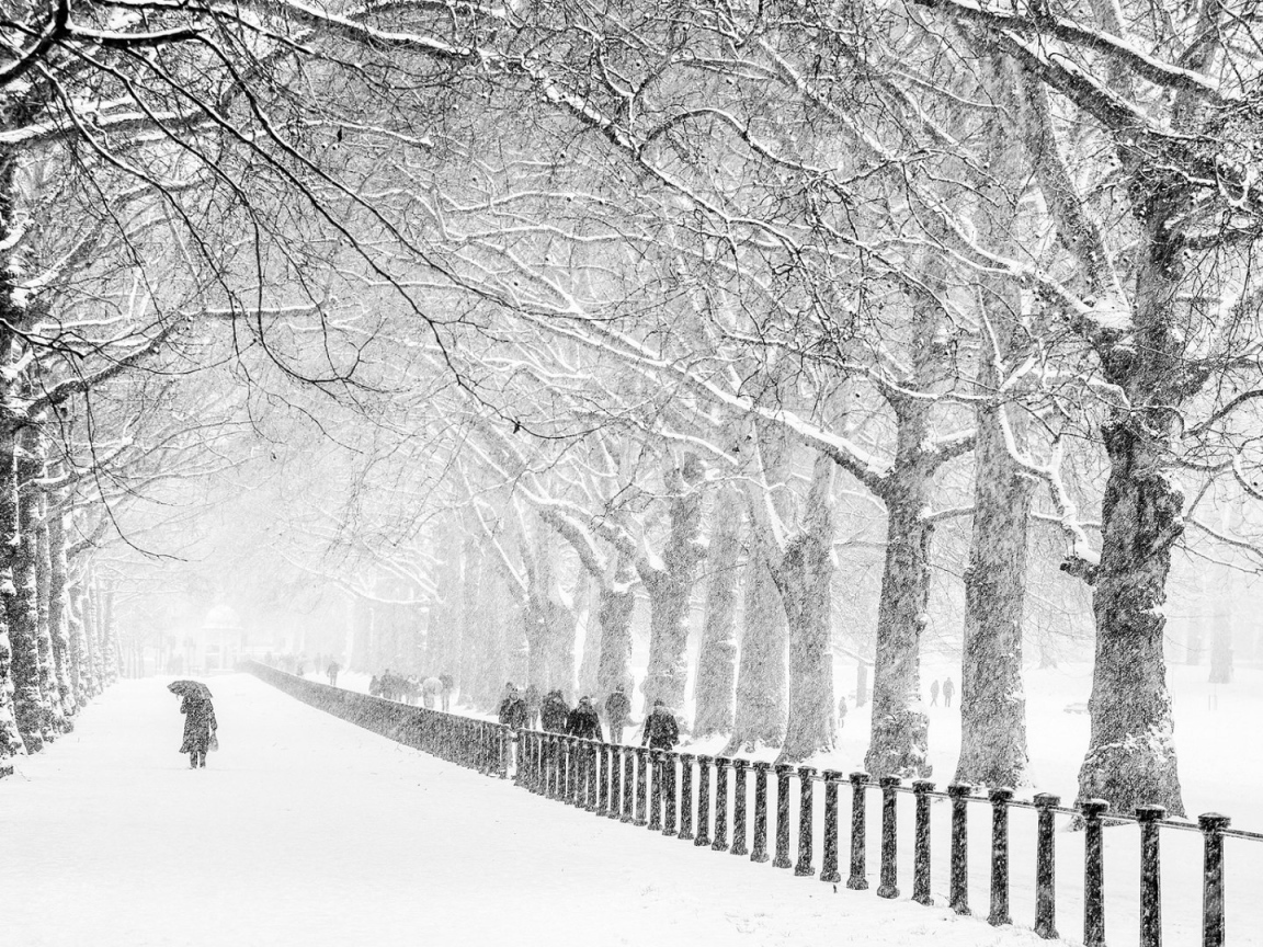 Сент-Джеймс Парк, Лондон