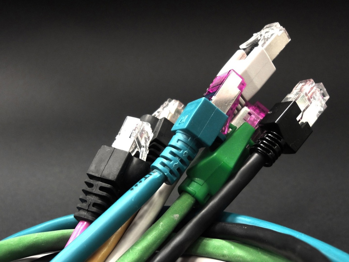 Букет компьютерных тюльпанов