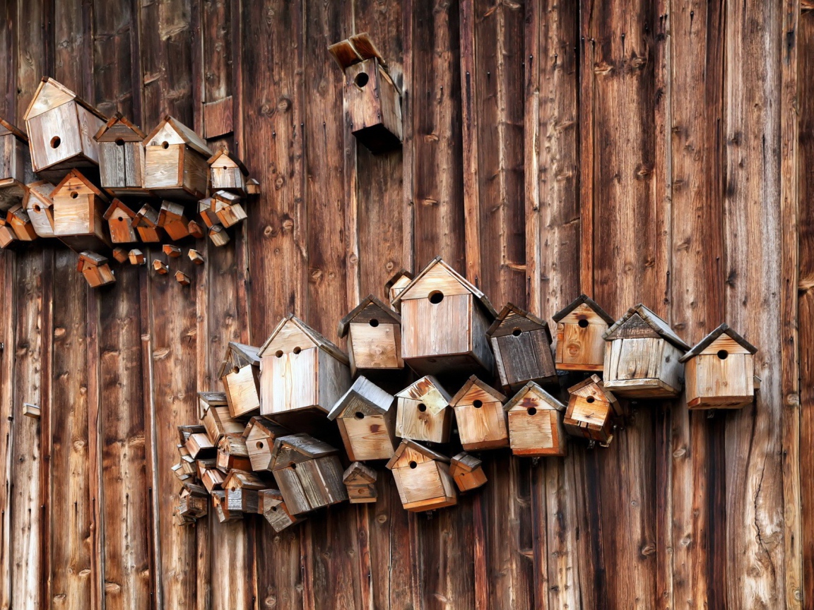 Скворечники на деревянной стене