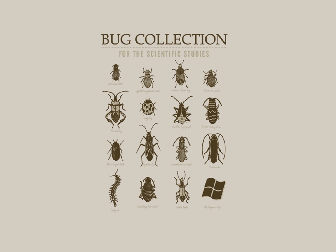 Коллекция неизвестных жуков