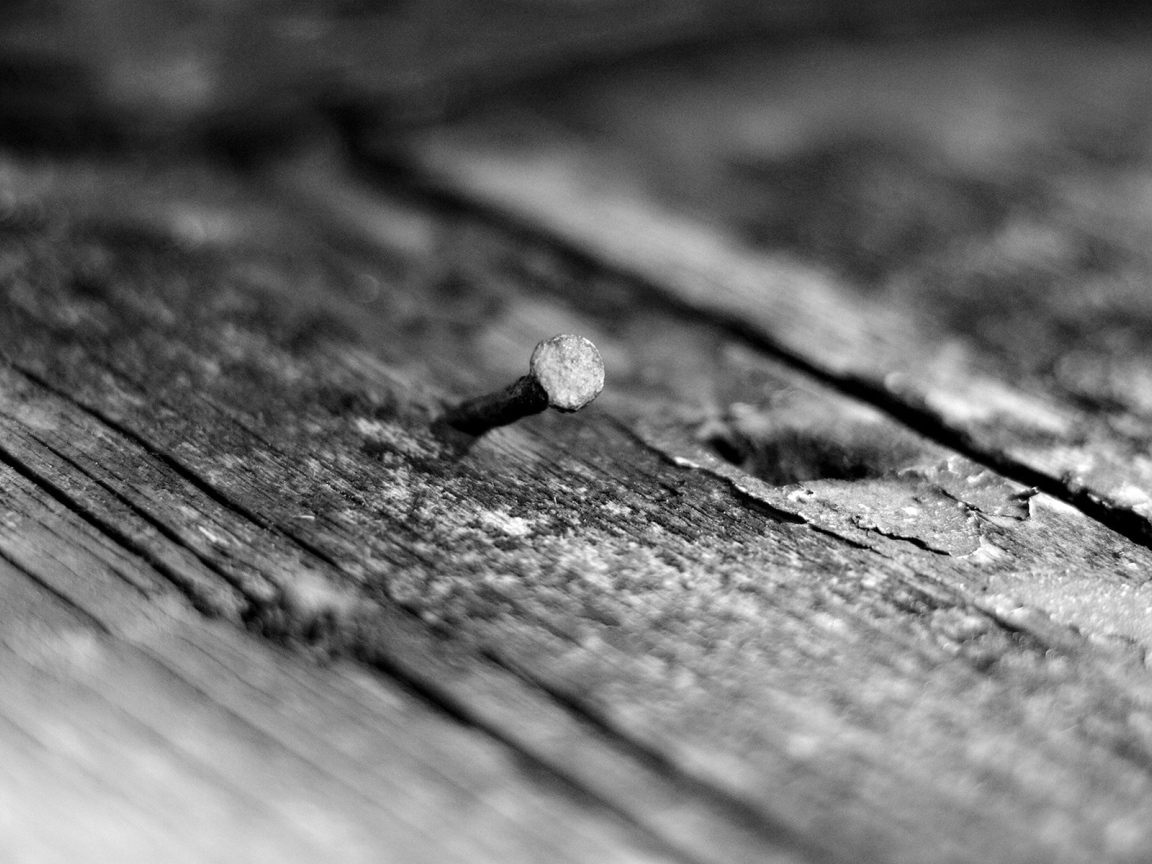 Кривой гвоздь в дереве