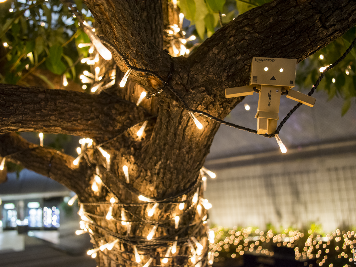 Дандо на гирлянде