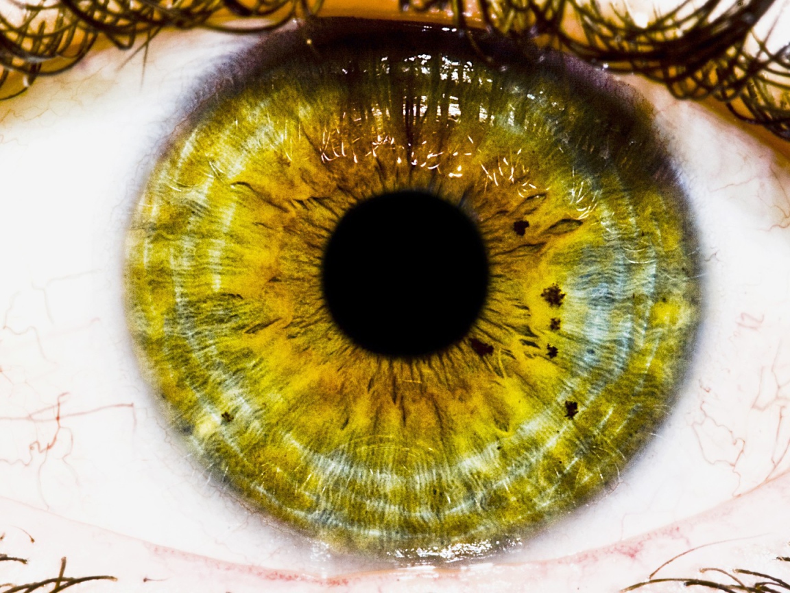 Зеленый глаз, макро фото