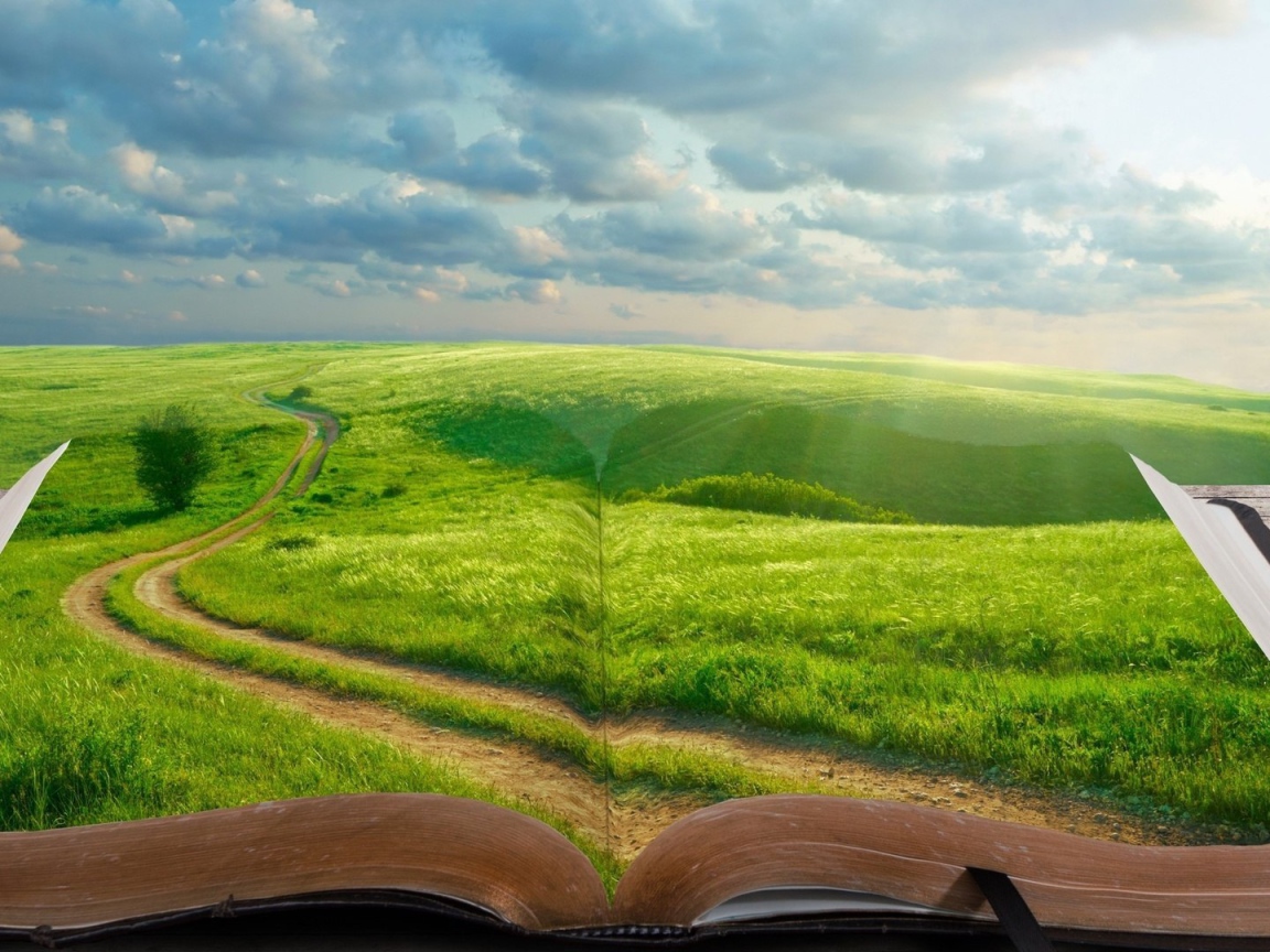 В книге целый мир