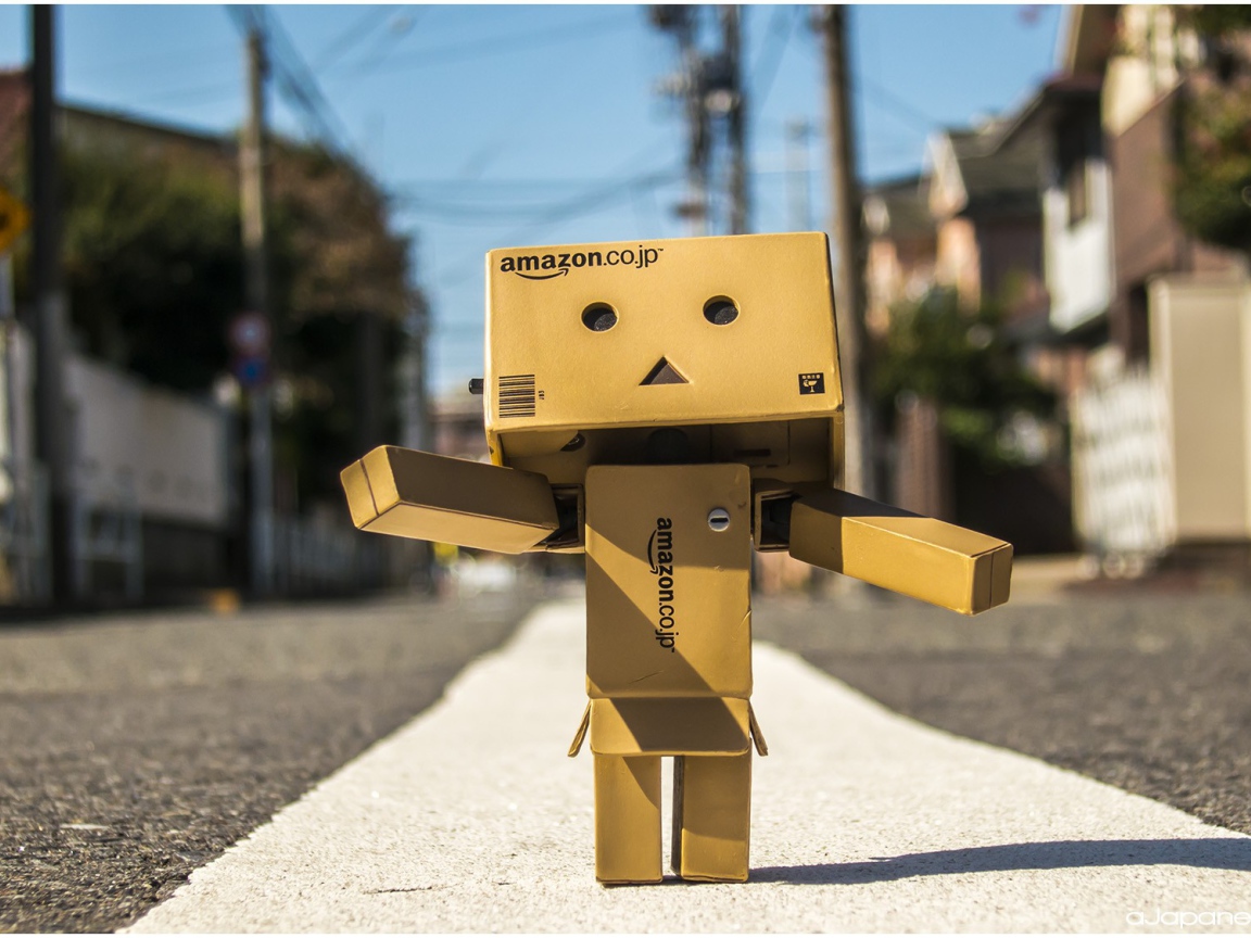 Японский Дандо стоит на дороге