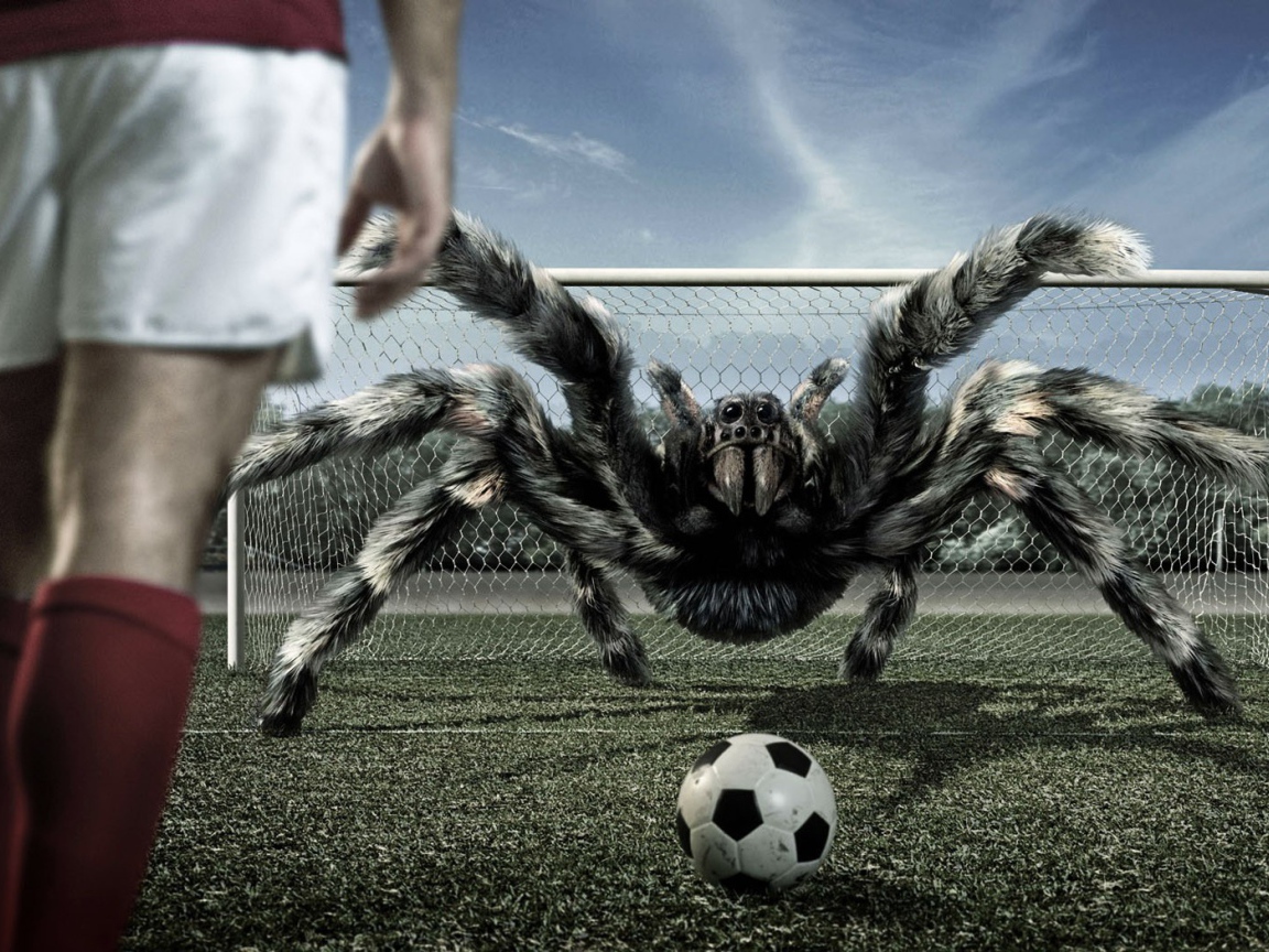 Playing football with arachnids
