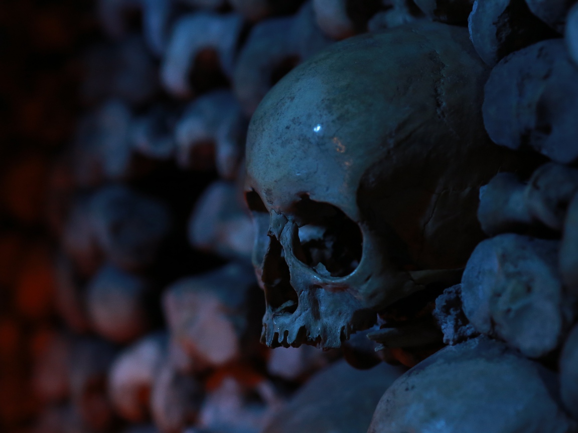 Череп среди костей в склепе