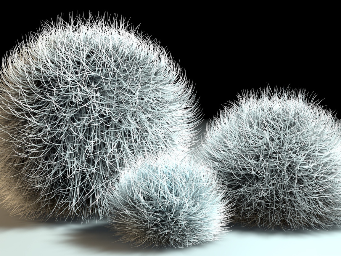 Шарики из мха