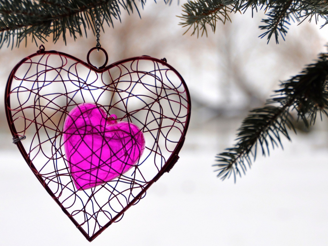 Украшение в виде сердца висит на ветке ели