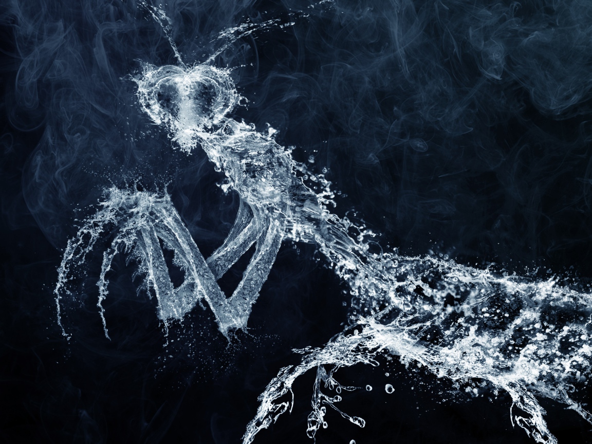 Фигурка богомола из воды