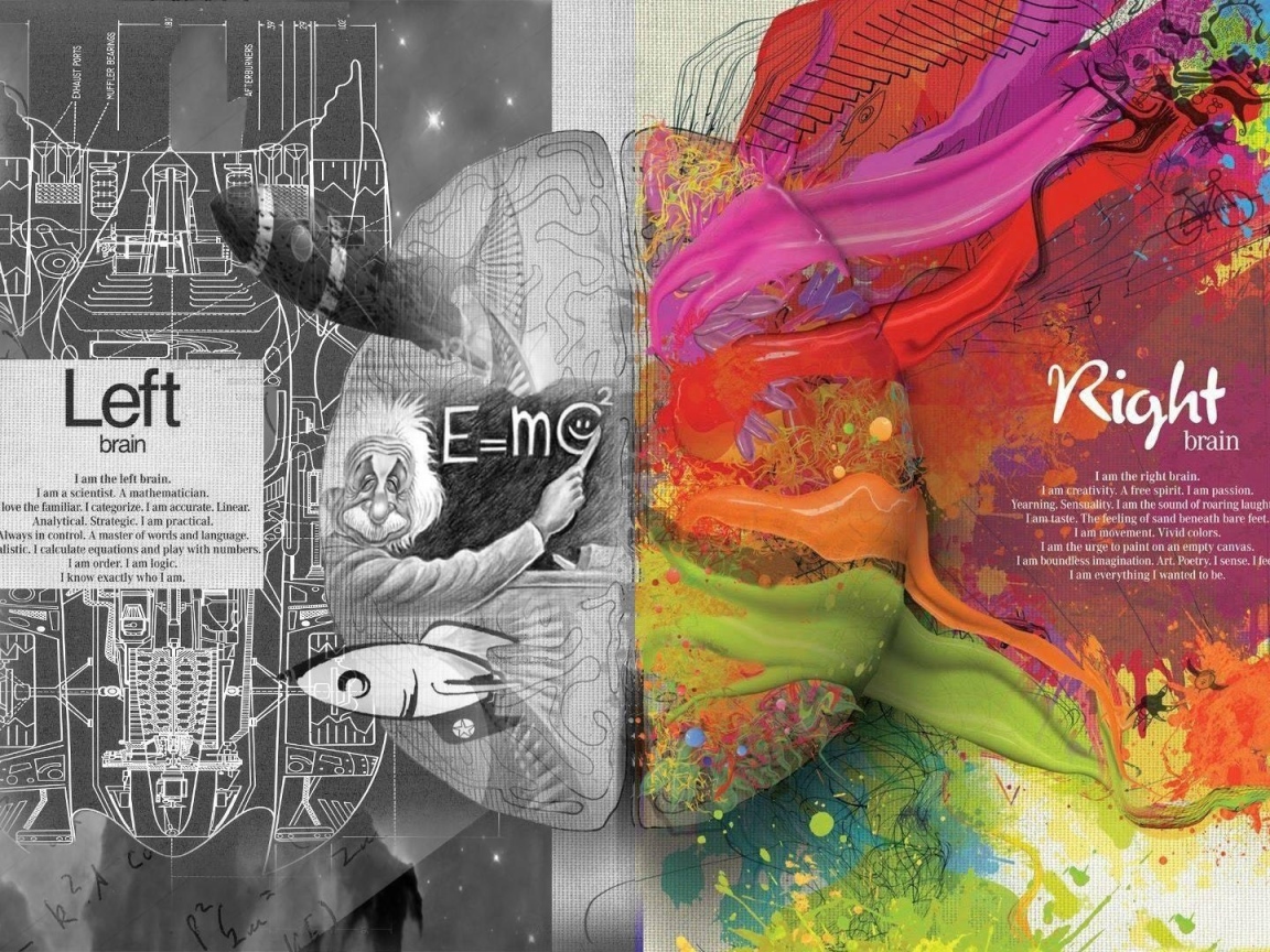 Левое и правое полушария мозга