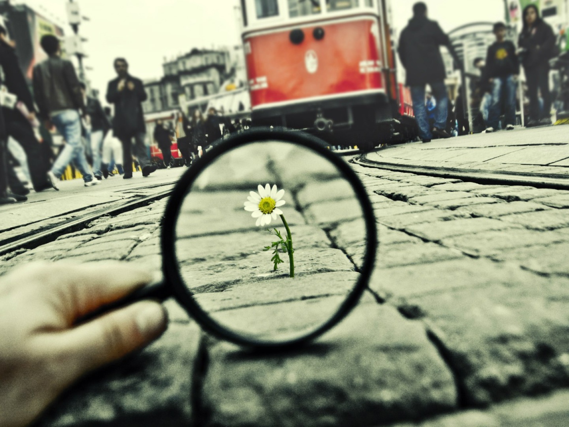 Воля к жизни, достойная уважения