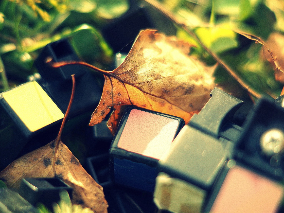 Обломки от кубика Рубика лежат среди листьев